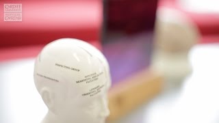 Video:  Queen's Anniversary Prize 2015