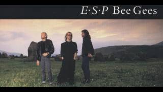 Bee Gees - The Longest Night  1987