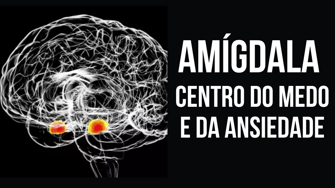 AMÍGDALA: CENTRO NEUROBIOLÓGICO DO MEDO E ANSIEDADE | CIRCUITO DO MEDO E A NEUROBIOLOGIA DAS EMOÇÕES
