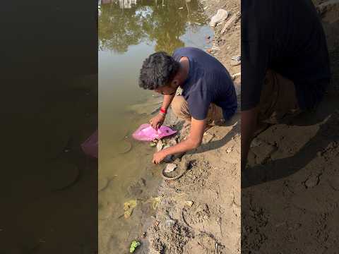 sap pakerliyatha kitne bare size ka machli🐟😳(790) hindi fishing video #fishing