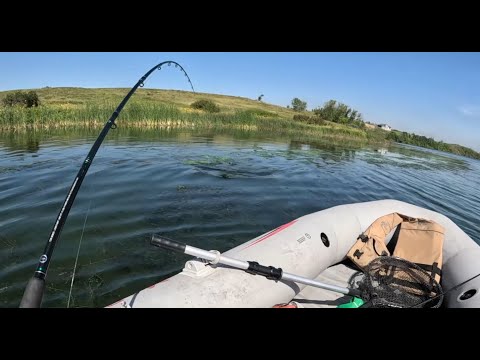 Is there Bass in Saskatchewan? PART 2