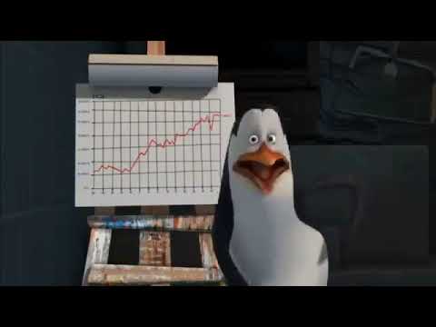 Los Pingüinos de Madagascar: Alguien tiene que hacer algo por favor