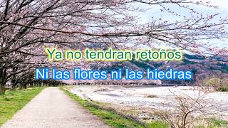 Cuando Yo No Me Quieras, Pablo Montero, Karaoke