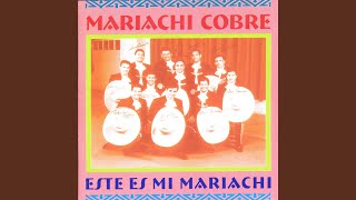 Video Las Abajeñas (Audio) de Mariachi Cobre
