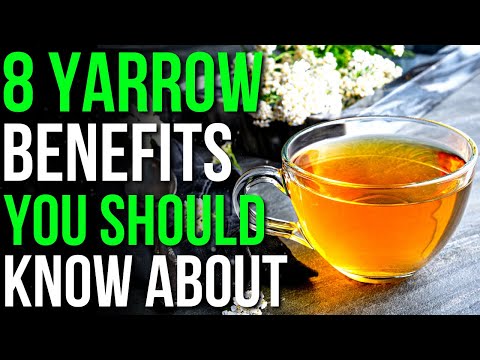 8 Benefits Of Yarrow You Should Know! | Health Benefits Of Yarrow