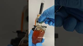 Download lagu 🍯Honey under microscope||1000x Zoom #microscope #honey #viralshort mp3