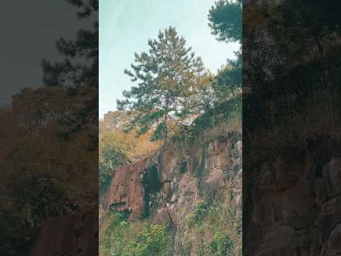 Parque da Pedreira - Pato Branco, Paraná, Brasil