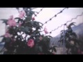 Alice Boman - Burns (Official video) 