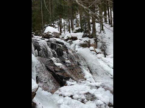 Rißlochwasserfälle im Bayerischen Wald ❄️🥾