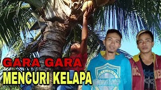 Download lagu Gorontalo's short film, stealing someone else's coconut mp3 Download lagu Gorontalo's short film, stealing someone else's coconut mp3