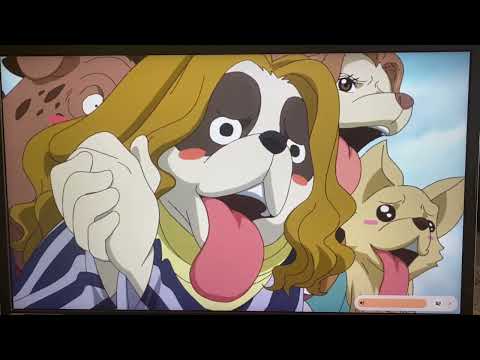 One Piece | Brook and the dogs 🐕 🐶 minks | English dub