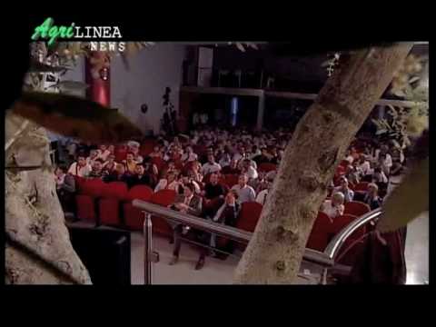 Giovanni D'Agostinis