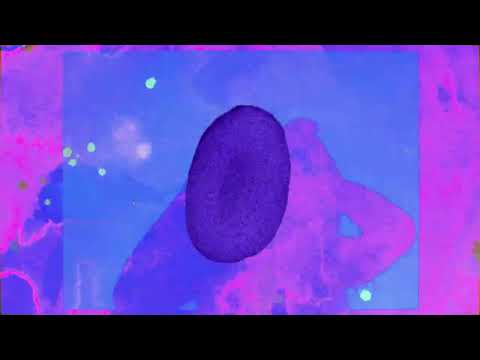 Video thumbnail for TDLY (Homegrown Land)