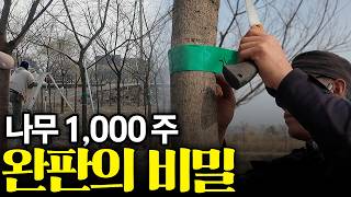 3교대 직장인, 나무농사 망쳤지만 1,000만원 팔아드렸습니다 ^^