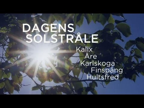 Väderspecial så blir vädret i veckan och tittarnas bilder - Nyhetsmorgon (TV4)