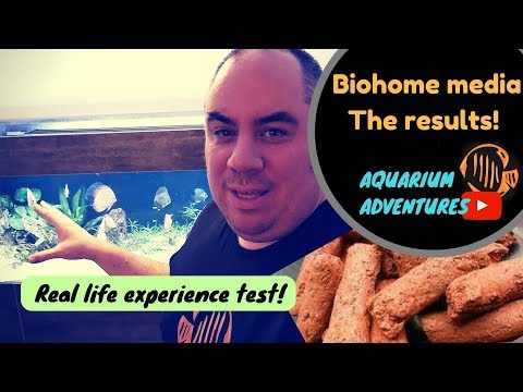 Biohome filter media review - The results!