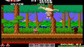 [MAME] Rygar - World Record - 10,290,280 - Shahbaz (Marpirc)