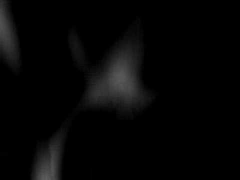 Niciodata inger - Alina Manole