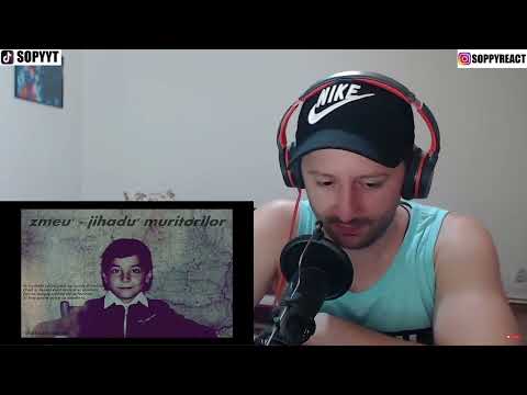 Reacționez la  02 zmeu' ninja' - hidrogen ( jihadu ' muritorilor )