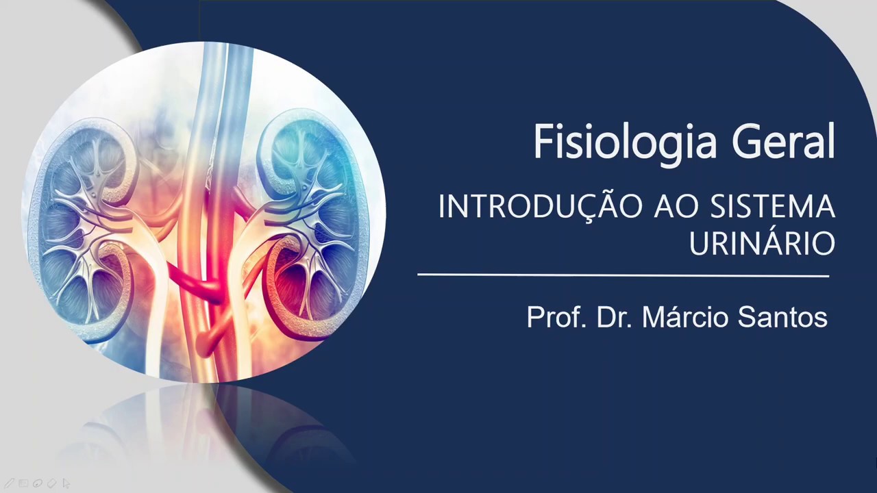 MÓDULO 3 - Aula 7: Introdução ao Sistema Urinário
