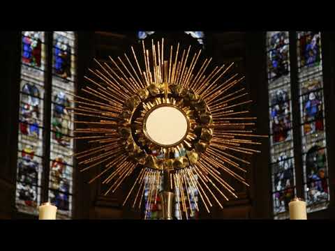 Niechaj Miłość Twa, jak potężna fala...