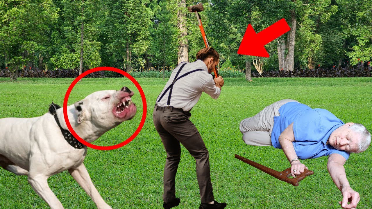 Bandits attack an elderly woman, but what her DOG did next left everyone in SHOCK