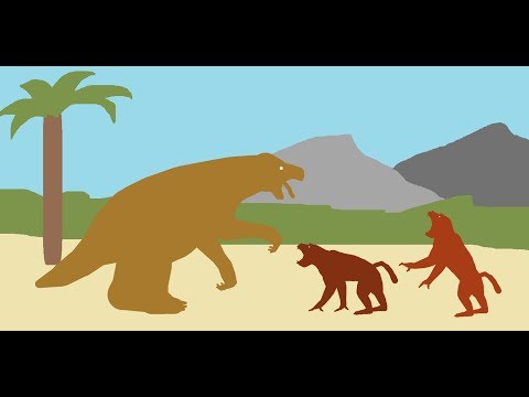 Megatherium Vs Dinopithecus