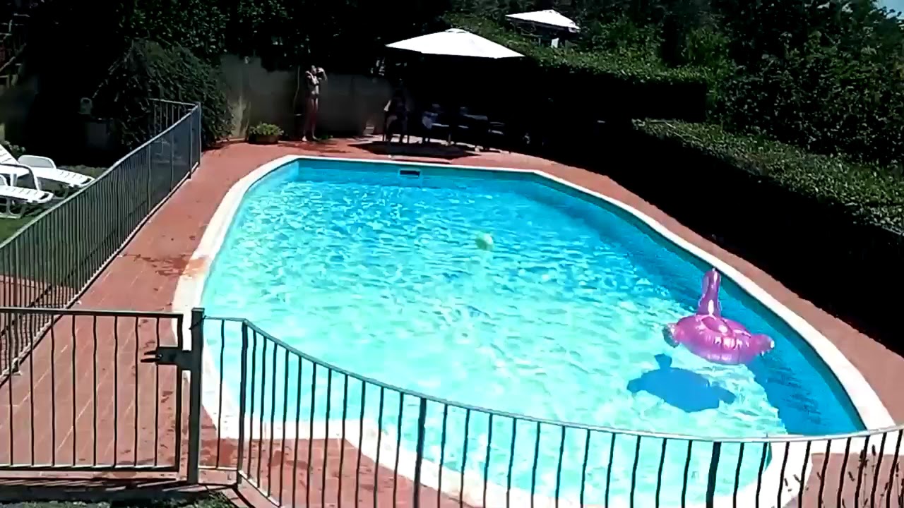 Video Il Pino