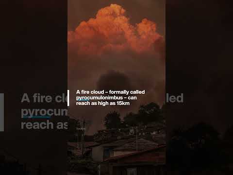 Video Thumbnail: ‘Fire clouds’ could be aggravating Europe’s wildfires.What are they?