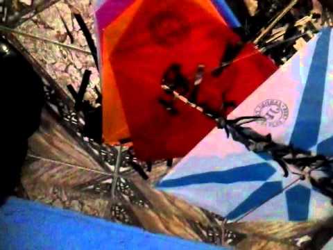 muita pipa blog chupa ptk 😎👌