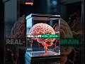 Human Brain Inside a Computer | 800,000 Human Brain Cells Power It! 🤯