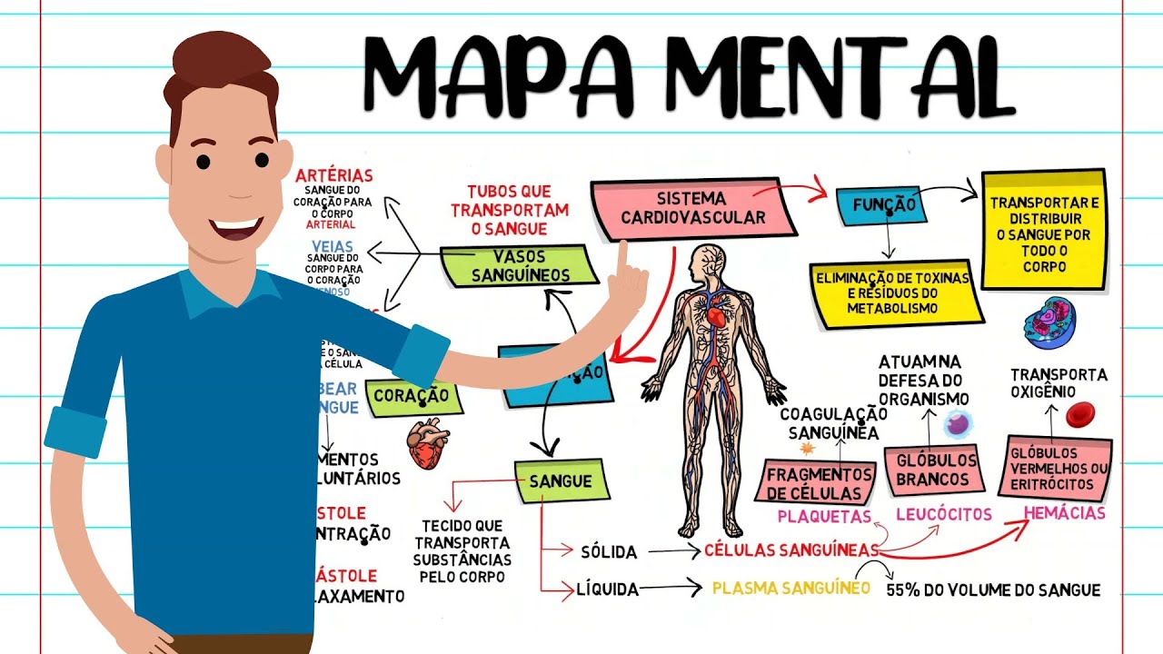 MAPA MENTAL SISTEMA CARDIOVASCULAR