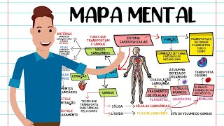MAPA MENTAL SISTEMA CARDIOVASCULAR