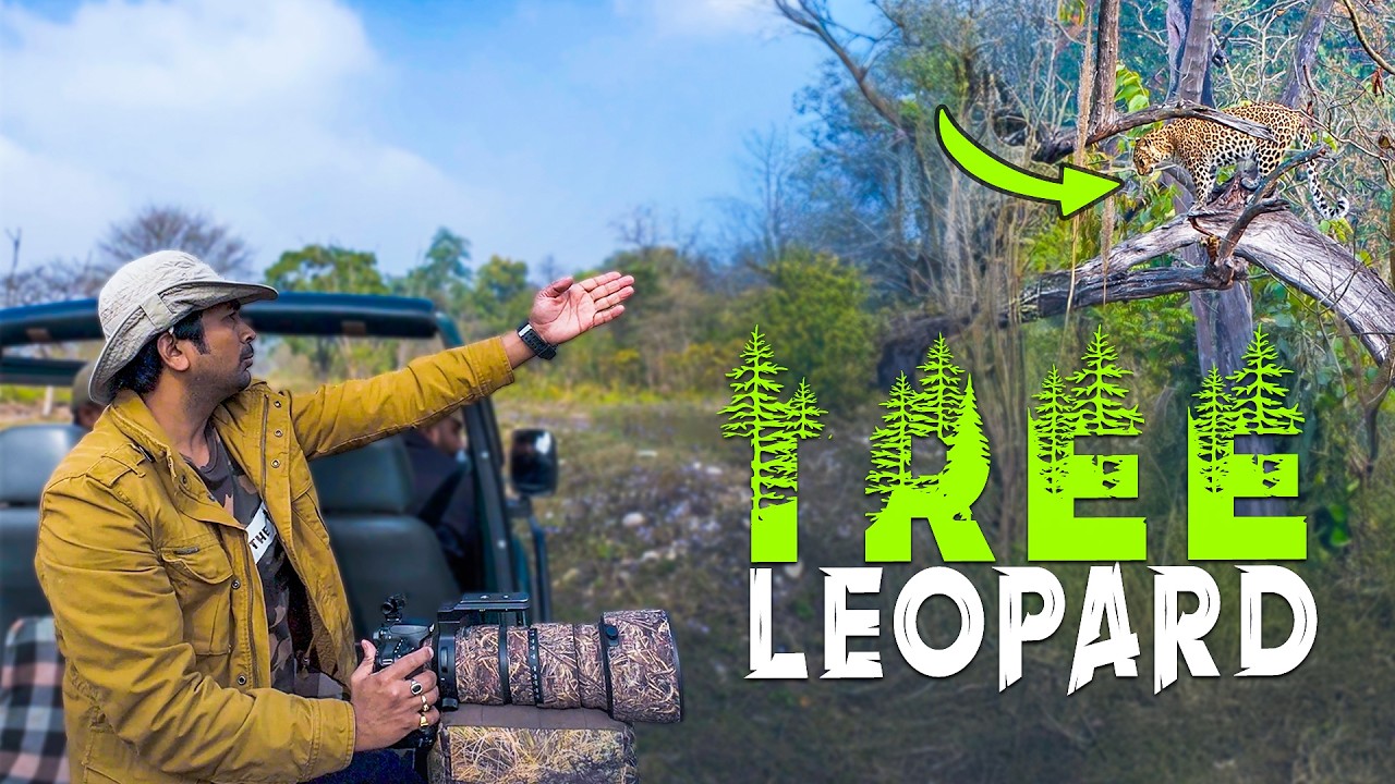 Ep 01 - I Returned to Rajaji Tiger Reserve after 33 Months to see Leopards