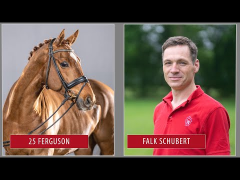 Sommer-Auktion Traininigsvideo Lot 25 Ferguson Wallach v. Floriscount - Lauries Crusador xx