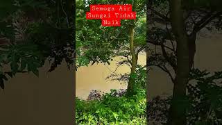 Download lagu Air Sungai Bedadung Pasca Hujan Pagi Hari #shorts mp3