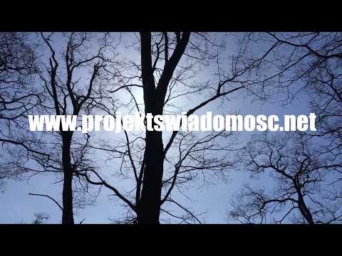 Wspieram to, Projekt Świadomość , Mada F org. park 1000lecia