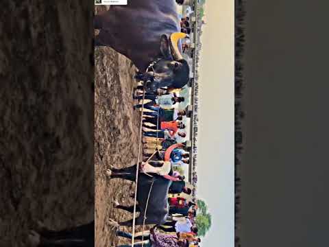 Tika ( Shera ) Burhanpur Vs gangada Burhanpur aapas me 💪💪💪💪