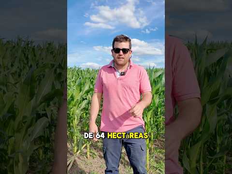 Venta Campo  de 64 has en Chamizo Florida