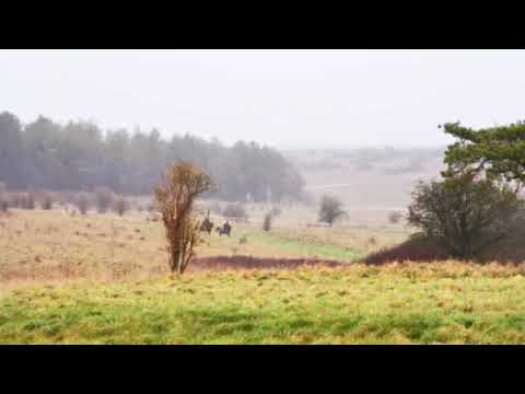 Roko George - Barrowmount - Ferny Knap - Larkhill