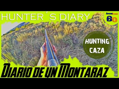 VIDEOS DE CAZA en HD | CAZA de CODORNIZ en MEDIA VEDA #4 | QUAIL HUNTING with POINTING DOG | 2016