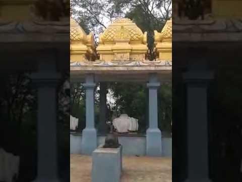 1008sivalingam temple | for more details watch Amutha's space channel