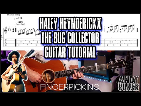 Haley Heynderickx - the bug collector Guitar Tutorial