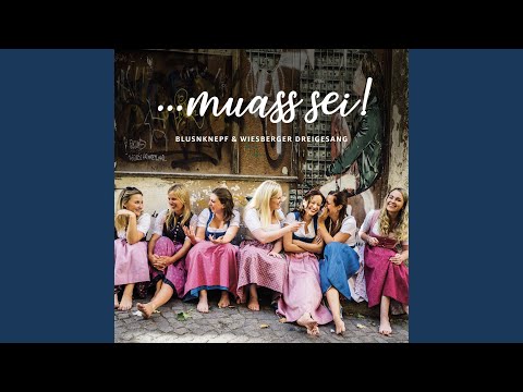 Schmetterlingswalzer