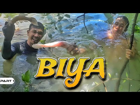 P1-Paninisid ng Biya - EP1072