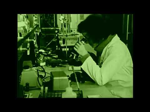 *imp* - Germ Factory - Official Music Video