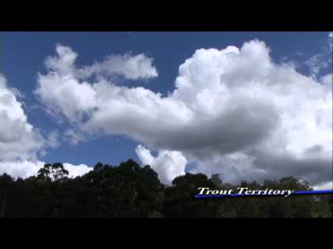 Fish Wild Tasmania - Trout Fishing Tours