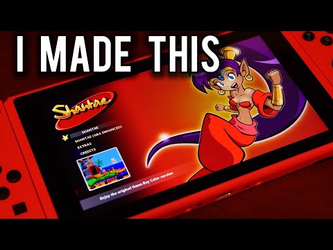 I was a developer of Shantae for the Nintendo Switch !