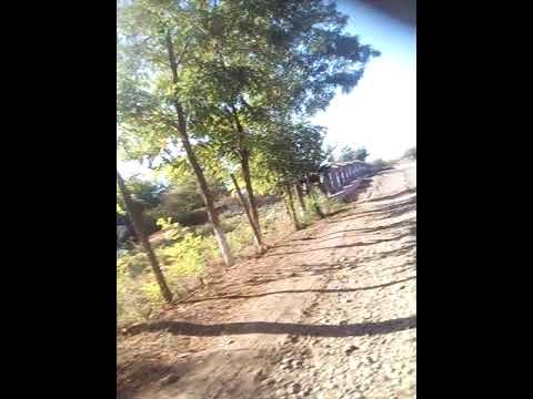 Carniceni sa tiganasi