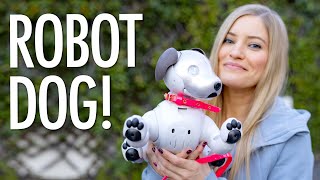 Sony&#39;s Robot Dog! A day with AIBO!